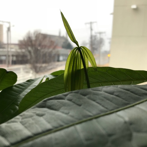 Meet your Posher, Jessica - Picture 1 of 1